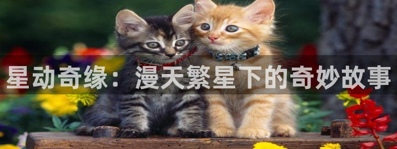 汗汗漫画在线观看网站入口
