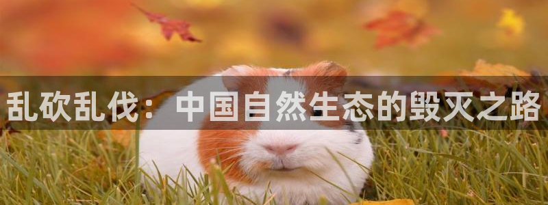 韩漫免费汗汗漫画