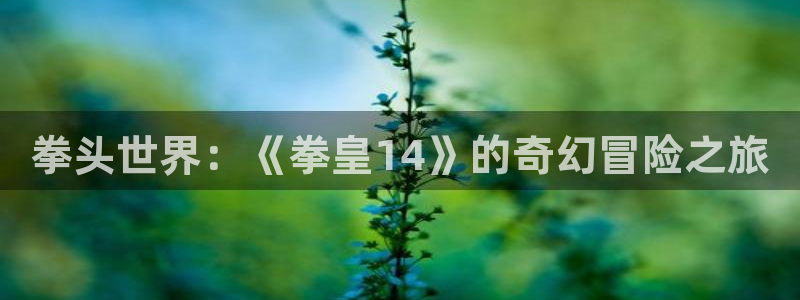 打开汗汗漫画：拳头世界：《拳皇14》的奇幻冒险之旅