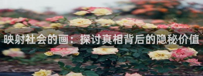 汗汗漫画登录页面