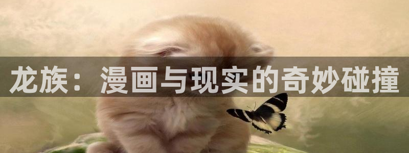 歪歪漫画和汗汗漫画