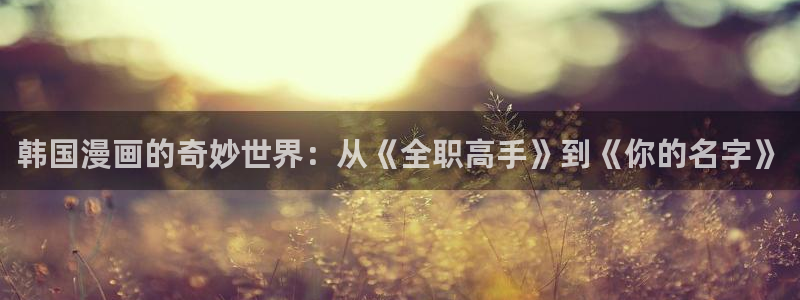 汗汗漫画家教老师：韩国漫画的奇妙世界：从《全职高手》到《你的名字》