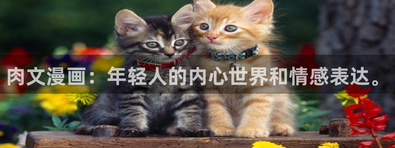 汗汗漫画首页登录