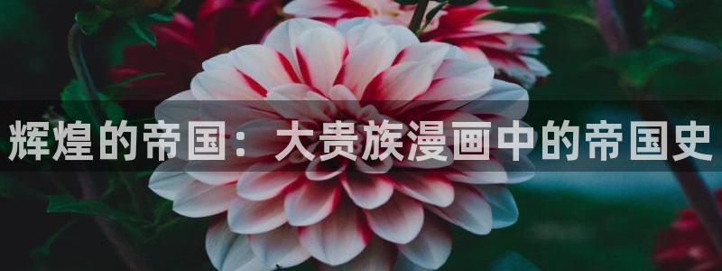 在线观看汗汗漫画